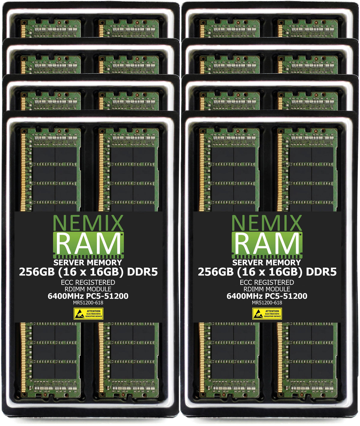 NEMIX RAM DDR5 6400MHz PC5-51200 ECC Registered RDIMM