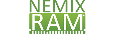 NEMIX RAM